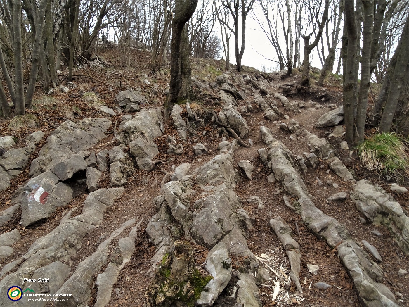 43  Rocce stratificate affioranti sullo strappo finale per la vetta.JPG